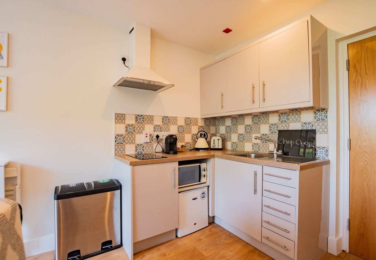 Apartment in Galway City - Eyre View Suites -  Apt #1 - Sleeps 2