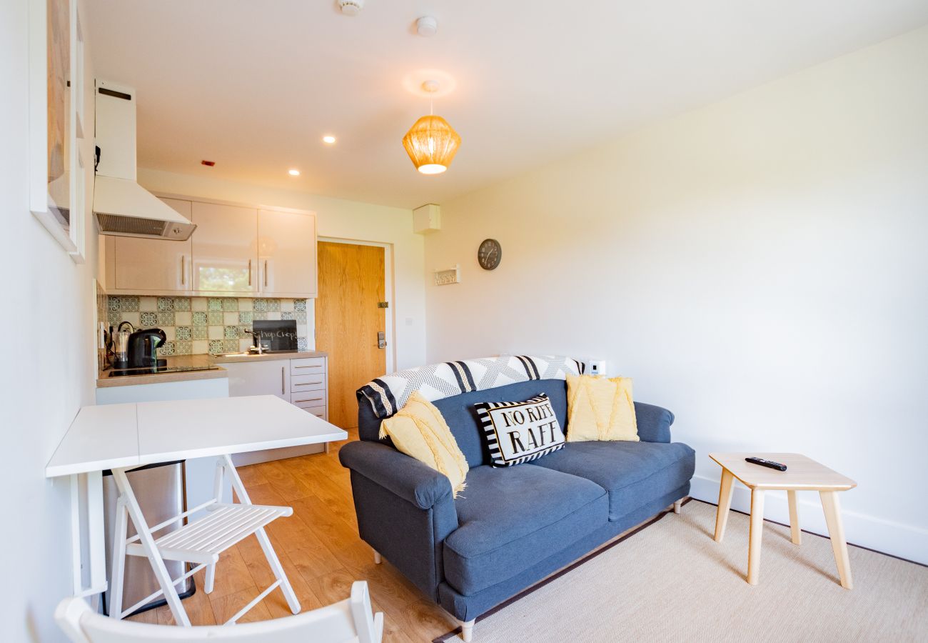 Apartment in Galway City - Eyre View Suites -  Apt #1 - Sleeps 2